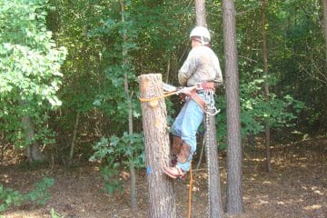 Bardin Outdoors Landscape Services
